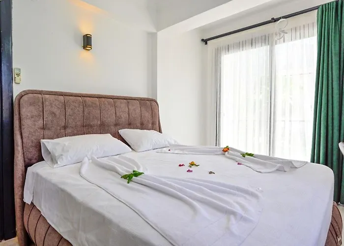 度假居 Lunessa-villa With Children's Pool For 8 People In Oludeniz 费特希耶